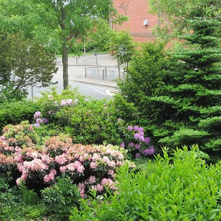 Wiesener Apartment Busum
